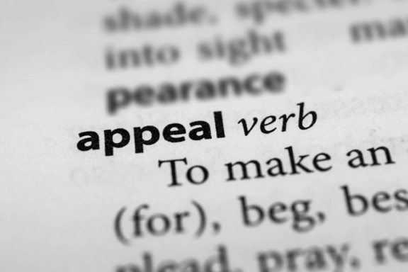 Denied Appeal Illustrates Important Point - Appeals Need Merit