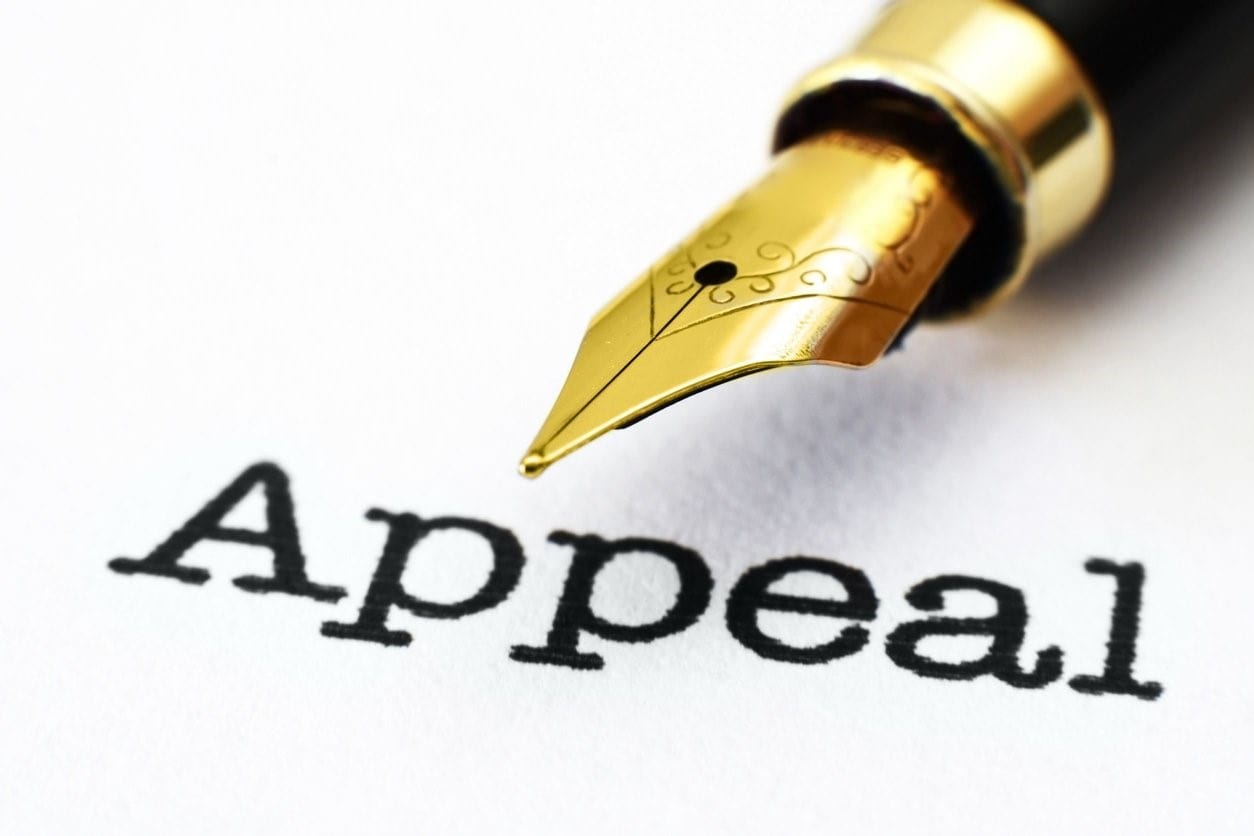 How Does the Appeals Process Differ in Federal and State Cases
