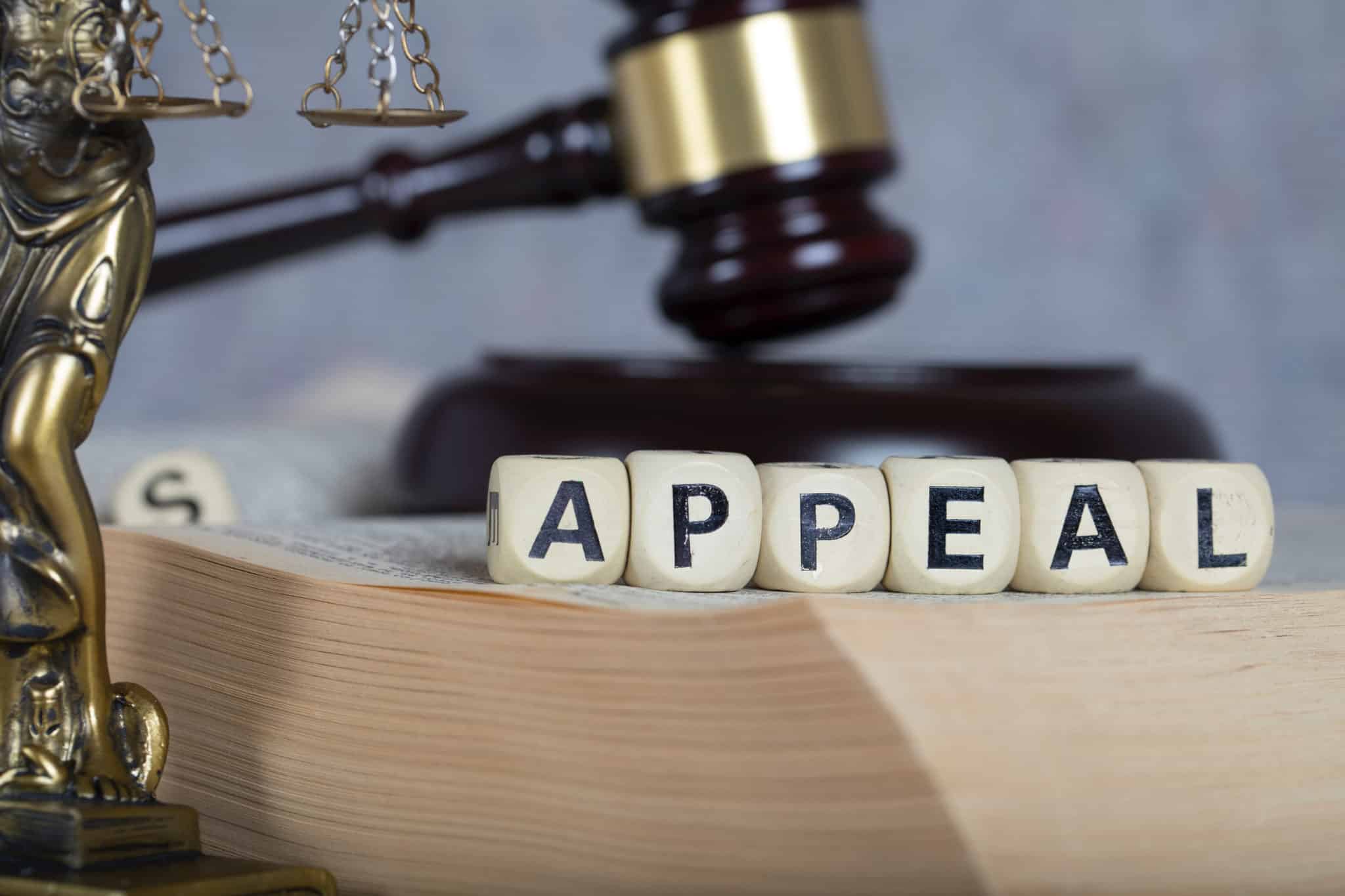 Can You Appeal a Federal Court Ruling?